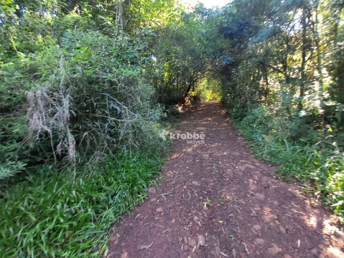Chácara à venda com 1 quarto, 1m² - Foto 7