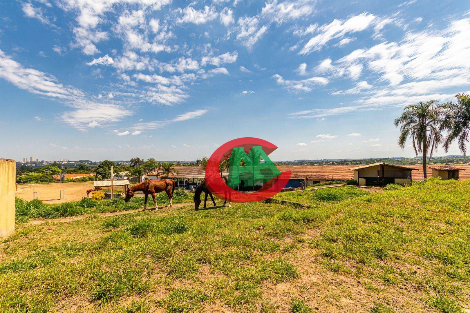 Haras e Área Rural Padrão à venda com 2 quartos, 1000m² - Foto 7