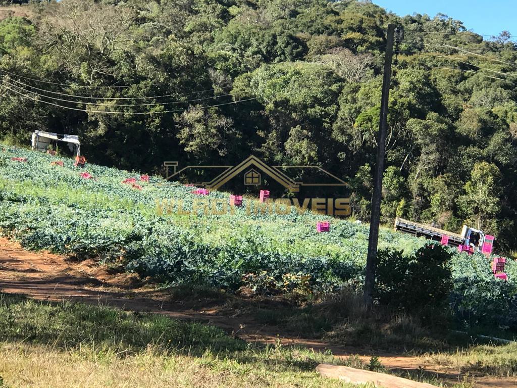 Fazenda à venda, 73m² - Foto 5