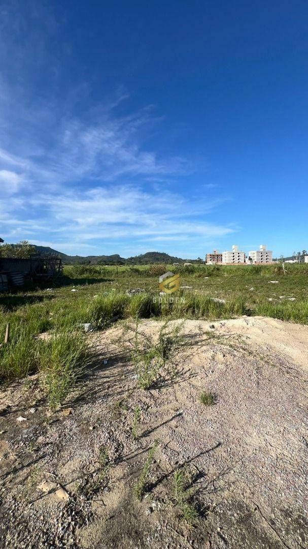 Terreno, 250 m² - Foto 4