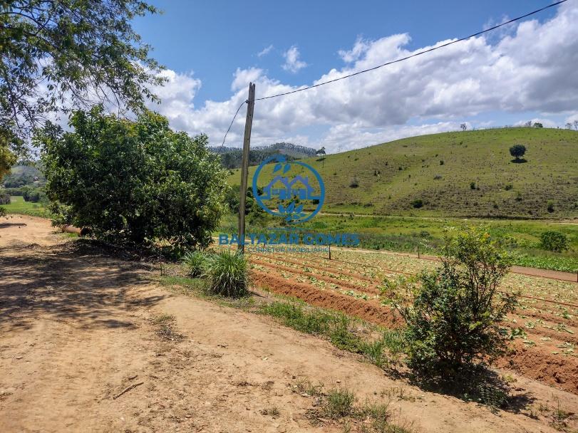 Fazenda à venda com 2 quartos, 5000m² - Foto 2