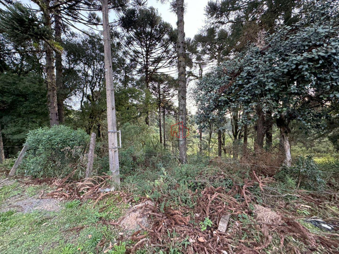 Terreno à venda, 4825M2 - Foto 11