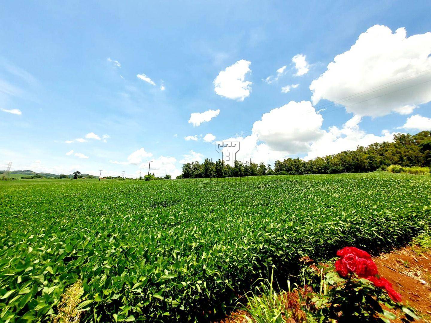 Sítio, 2 quartos, 10 hectares - Foto 2