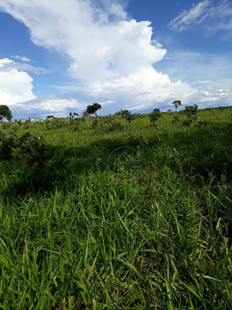 Fazenda à venda, 7400000M2 - Foto 13