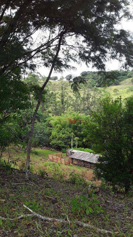 Fazenda à venda, 203M2 - Foto 1