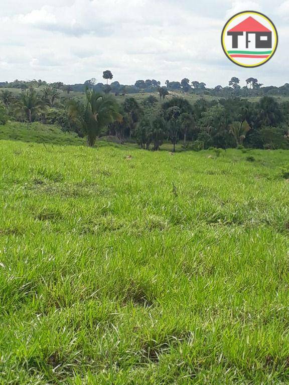 Fazenda à venda, 1597200M2 - Foto 1