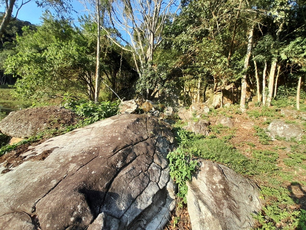 Fazenda à venda, 140000m² - Foto 25