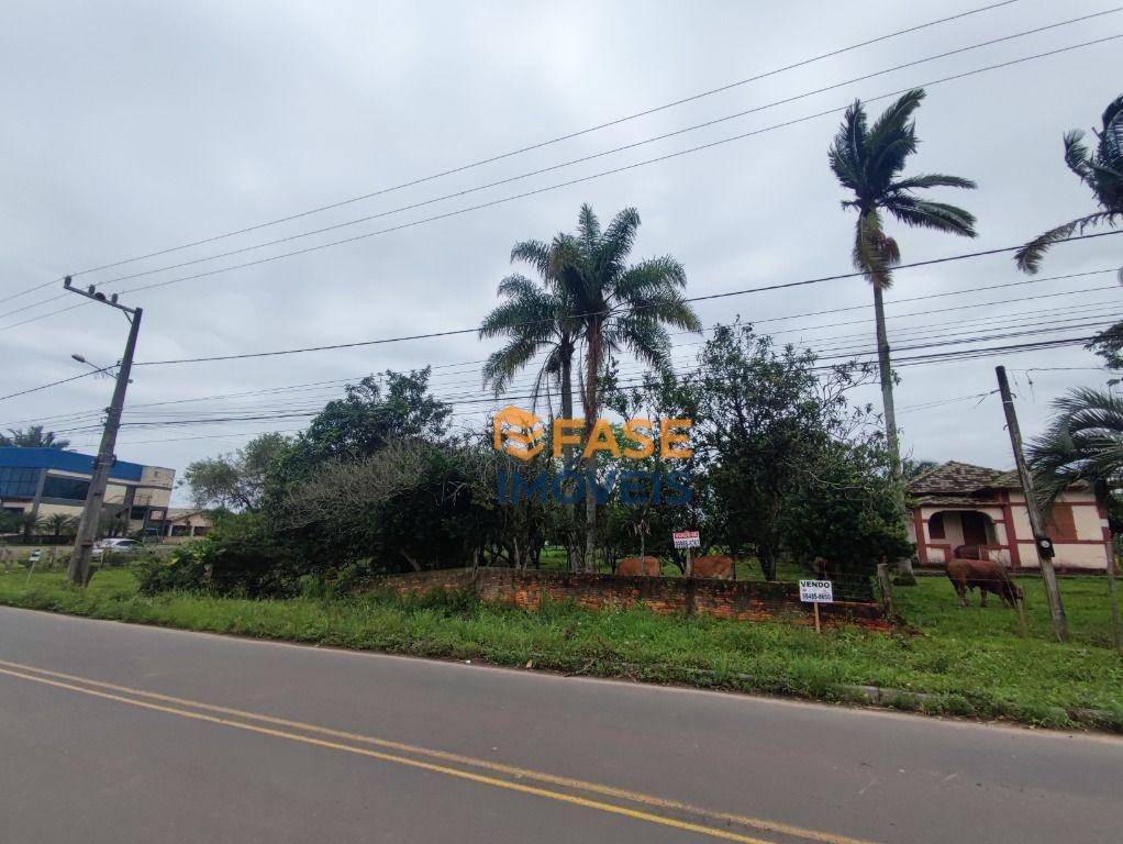 Terreno, 2 hectares - Foto 5