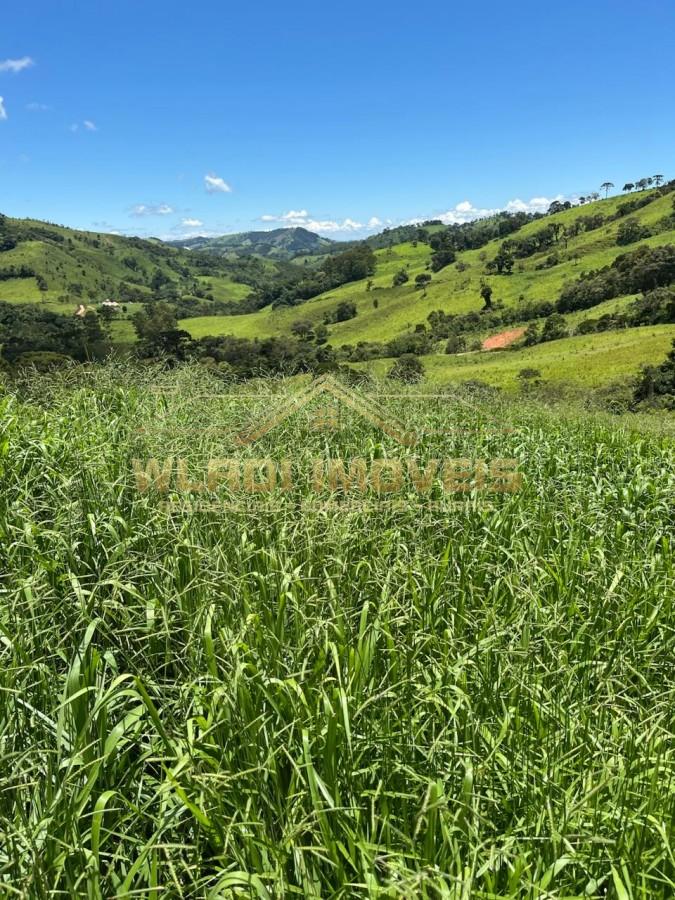 Fazenda-Sítio-Chácara, 90 m² - Foto 10