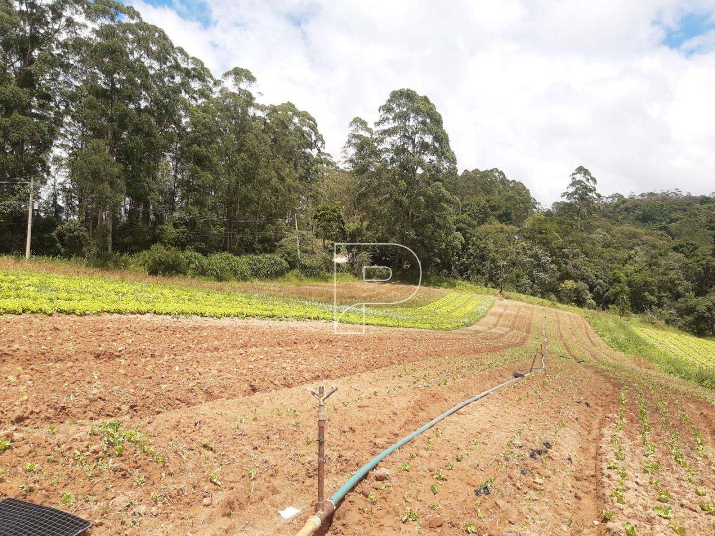 Terreno à venda, 39000M2 - Foto 13