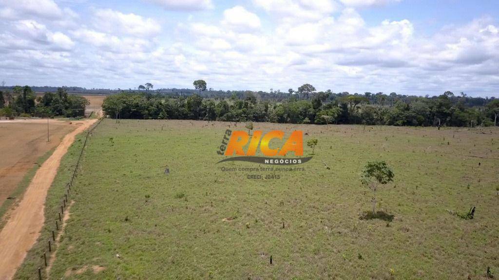 Fazenda à venda com 4 quartos, 1400000M2 - Foto 20