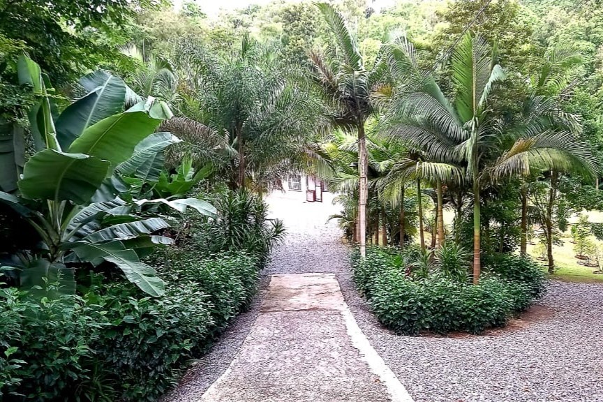 Sítio à venda com 2 quartos, 24987m² - Foto 1
