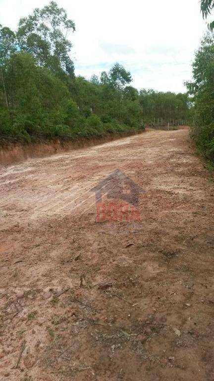 Terreno à venda, 600M2 - Foto 3