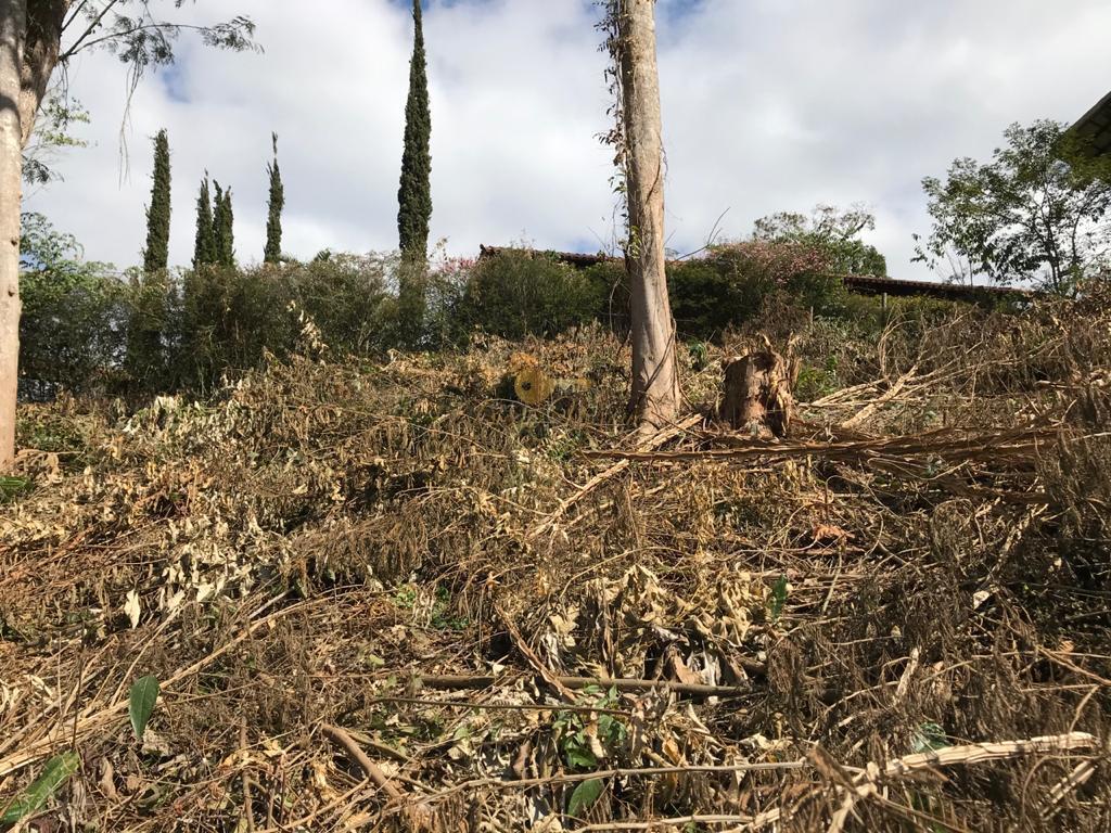 Terreno à venda, 520m² - Foto 7