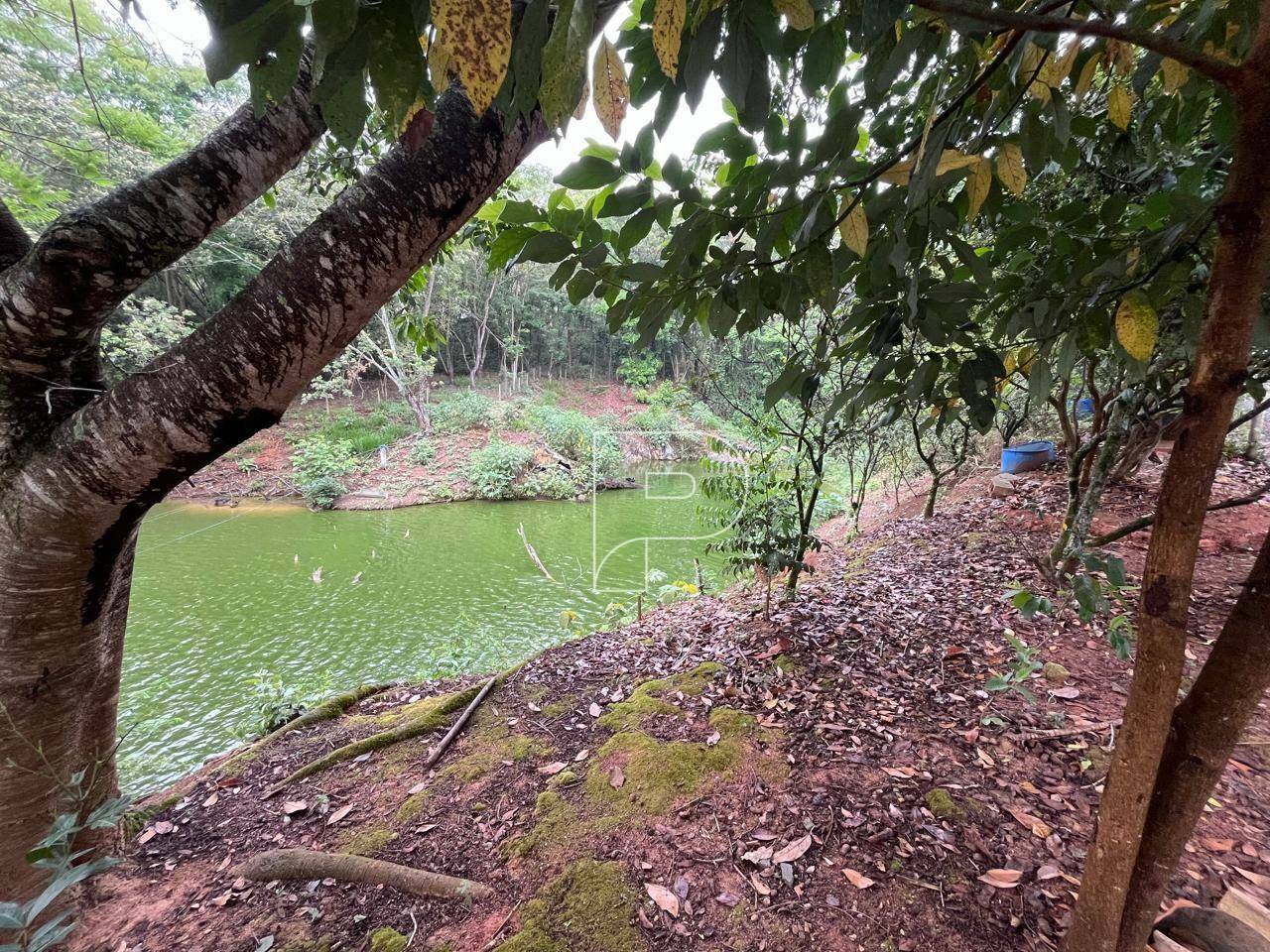 Casa de Condomínio à venda com 3 quartos, 120m² - Foto 12