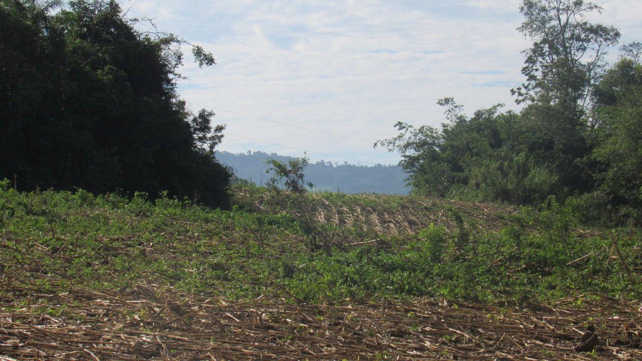 Loteamento e Condomínio à venda, 199000m² - Foto 6