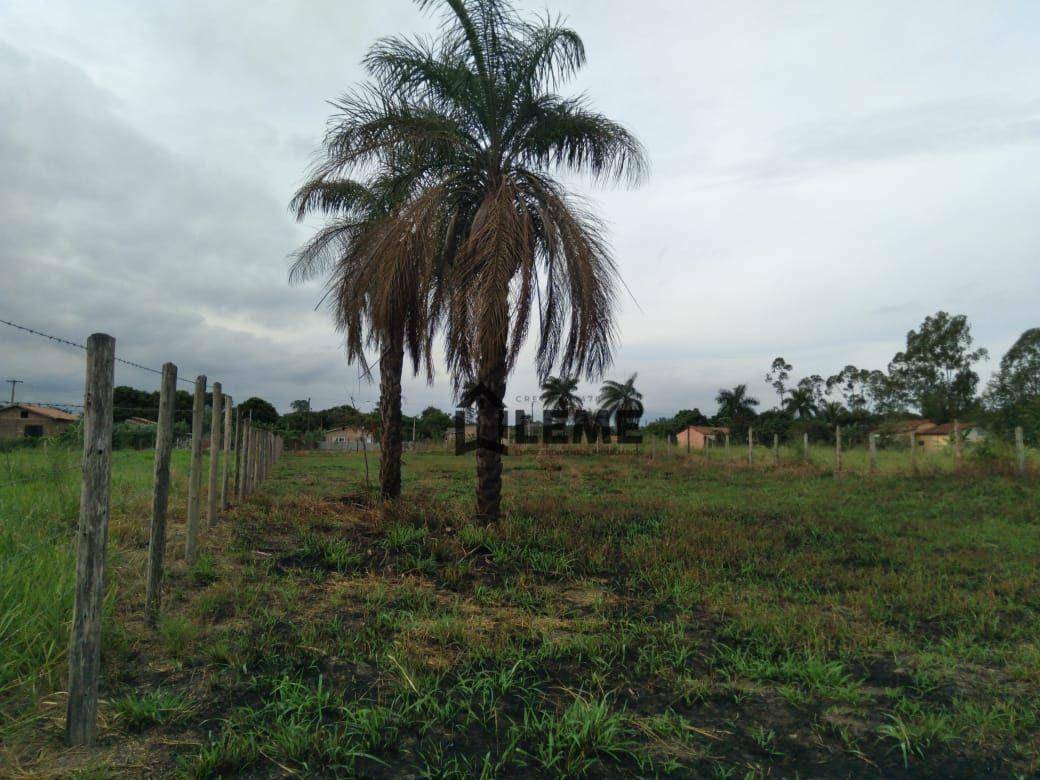 Loteamento e Condomínio à venda, 2500M2 - Foto 1