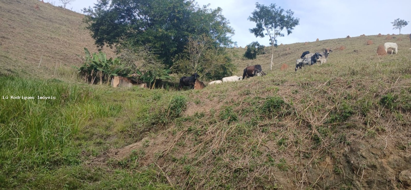 Chácara à venda com 3 quartos, 16000m² - Foto 15