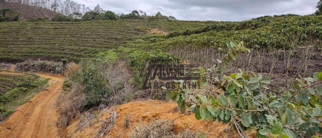 Fazenda à venda, 1452000M2 - Foto 26