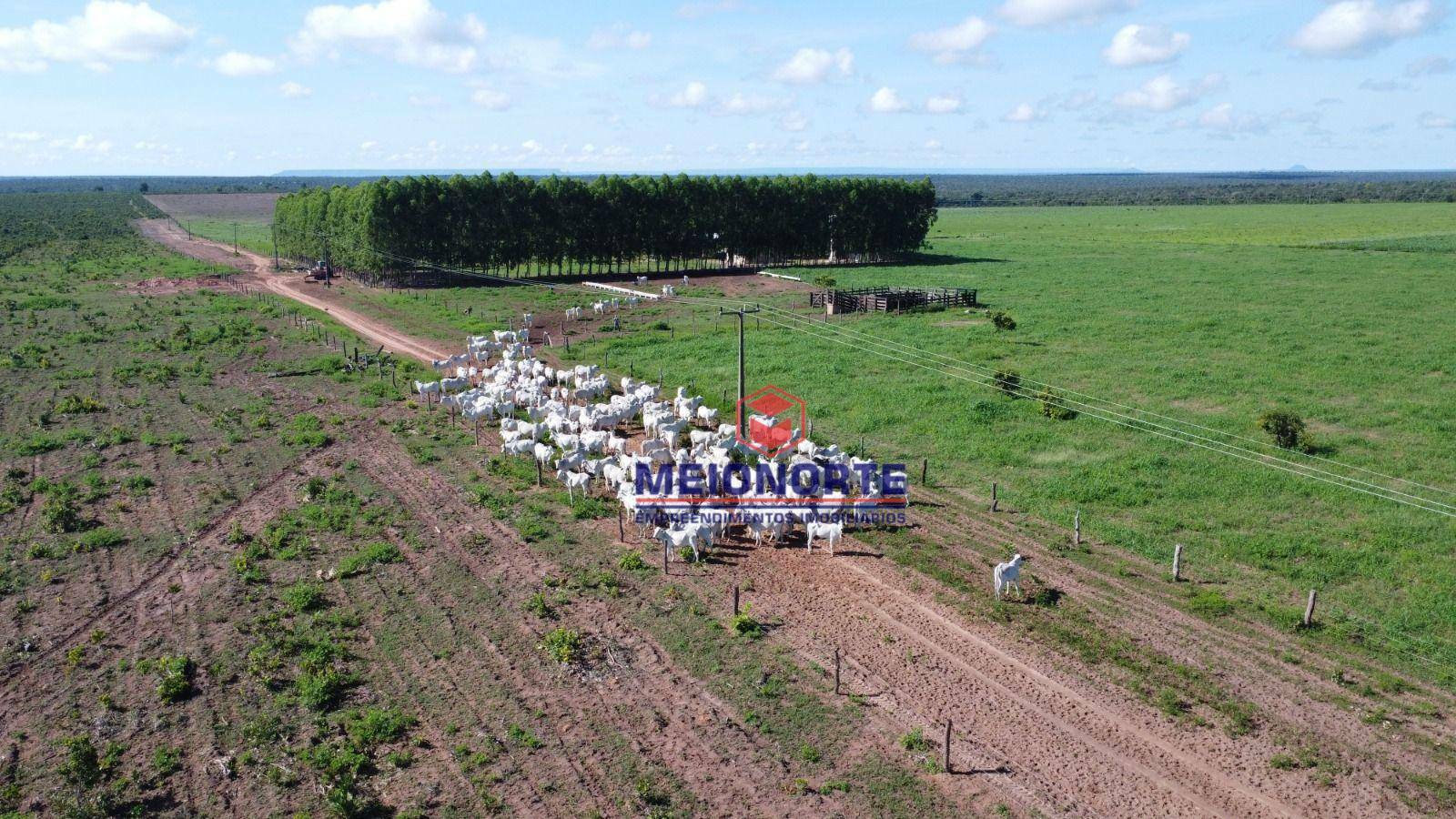 Fazenda à venda com 1 quarto, 7810000M2 - Foto 5