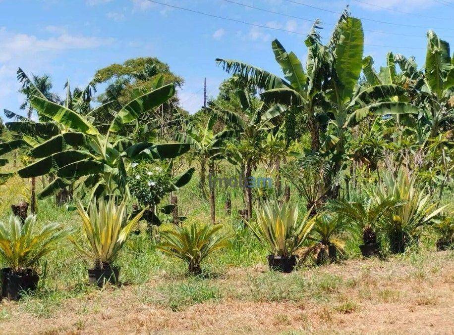 Chácara à venda com 3 quartos, 150m² - Foto 27