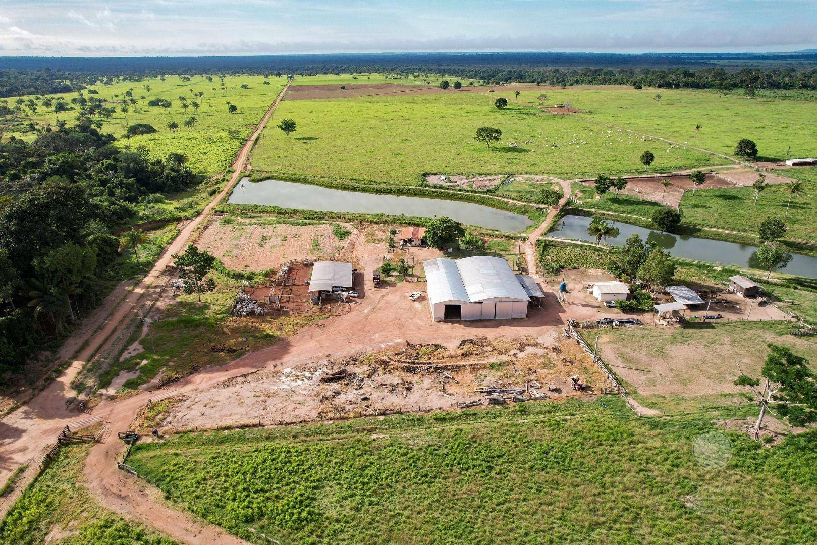 Fazenda-Sítio-Chácara, 242 hectares - Foto 1