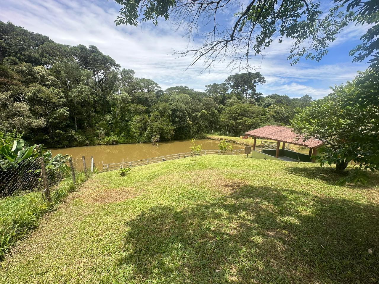 Fazenda à venda com 3 quartos, 8000m² - Foto 25