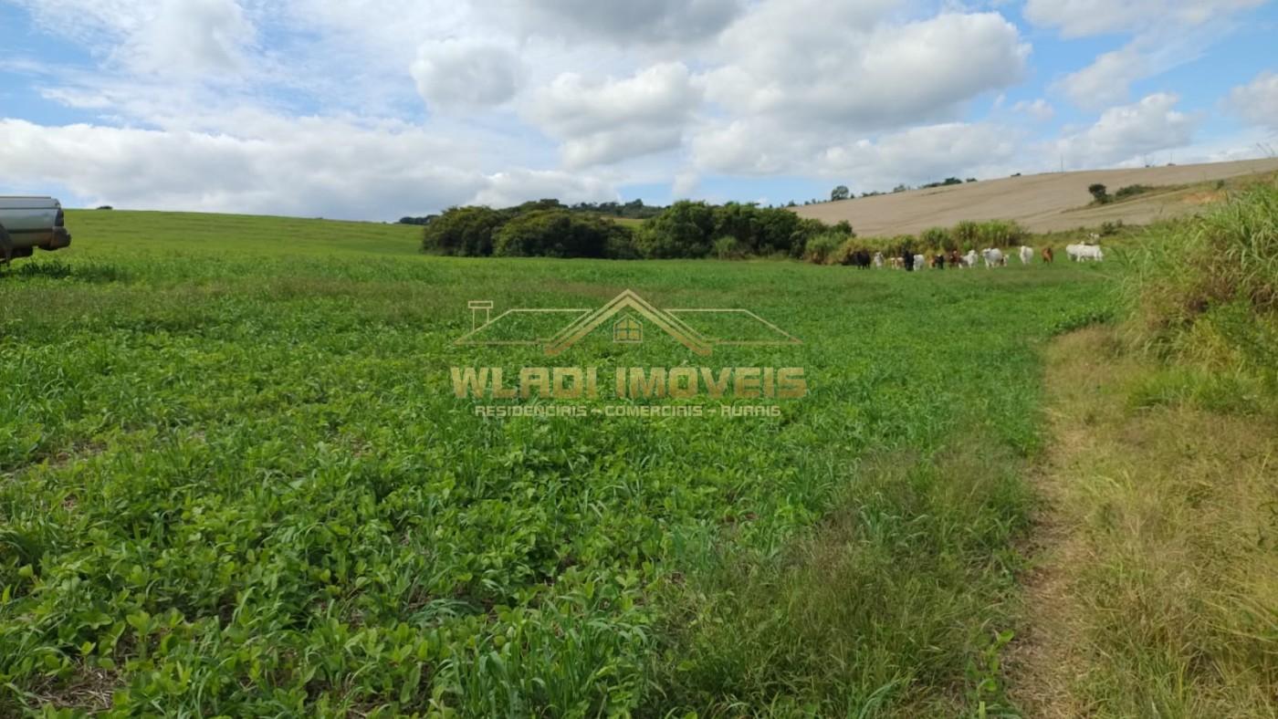 Fazenda à venda, 160m² - Foto 8