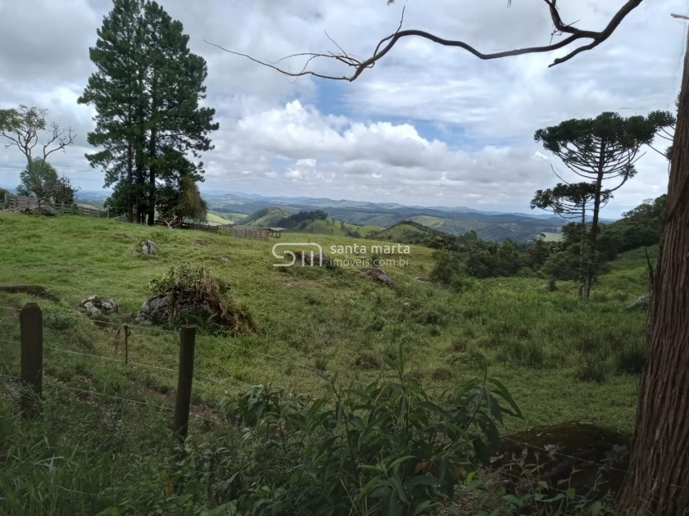 Fazenda à venda com 2 quartos, 24m² - Foto 67