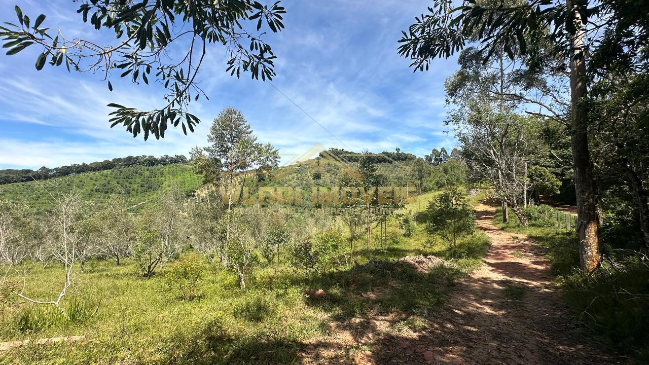 Fazenda à venda, 190000m² - Foto 6