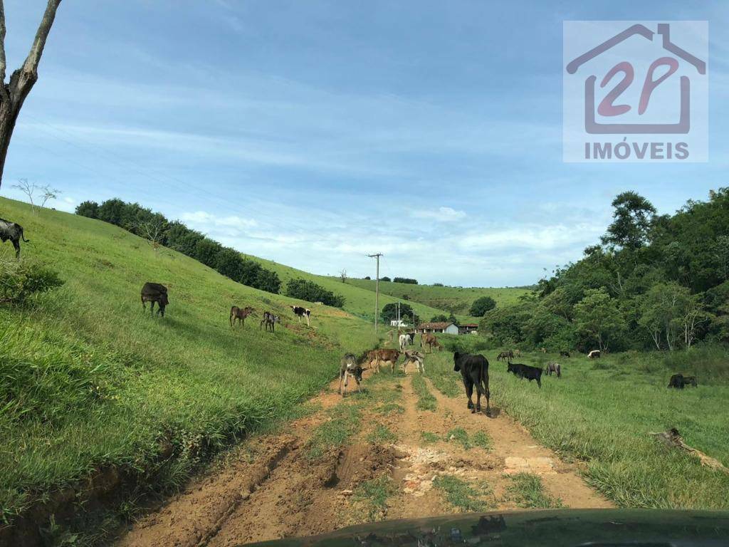 Fazenda à venda com 2 quartos, 1984400M2 - Foto 4