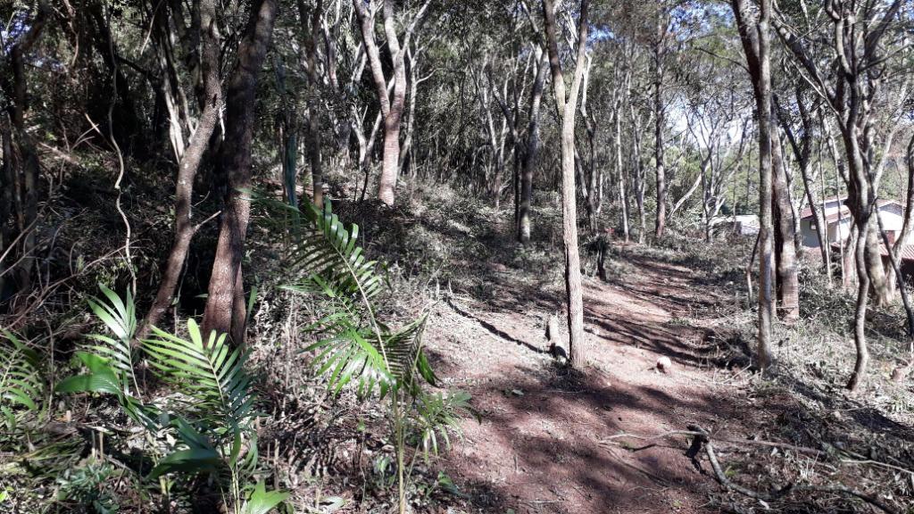 Loteamento e Condomínio à venda, 2750m² - Foto 3