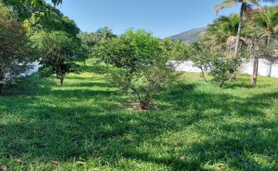 Fazenda à venda com 1 quarto, 1800m² - Foto 6