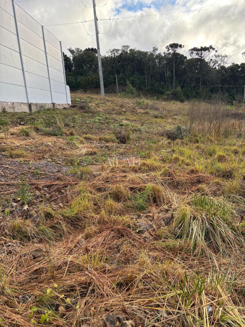 Terreno à venda, 20m² - Foto 3