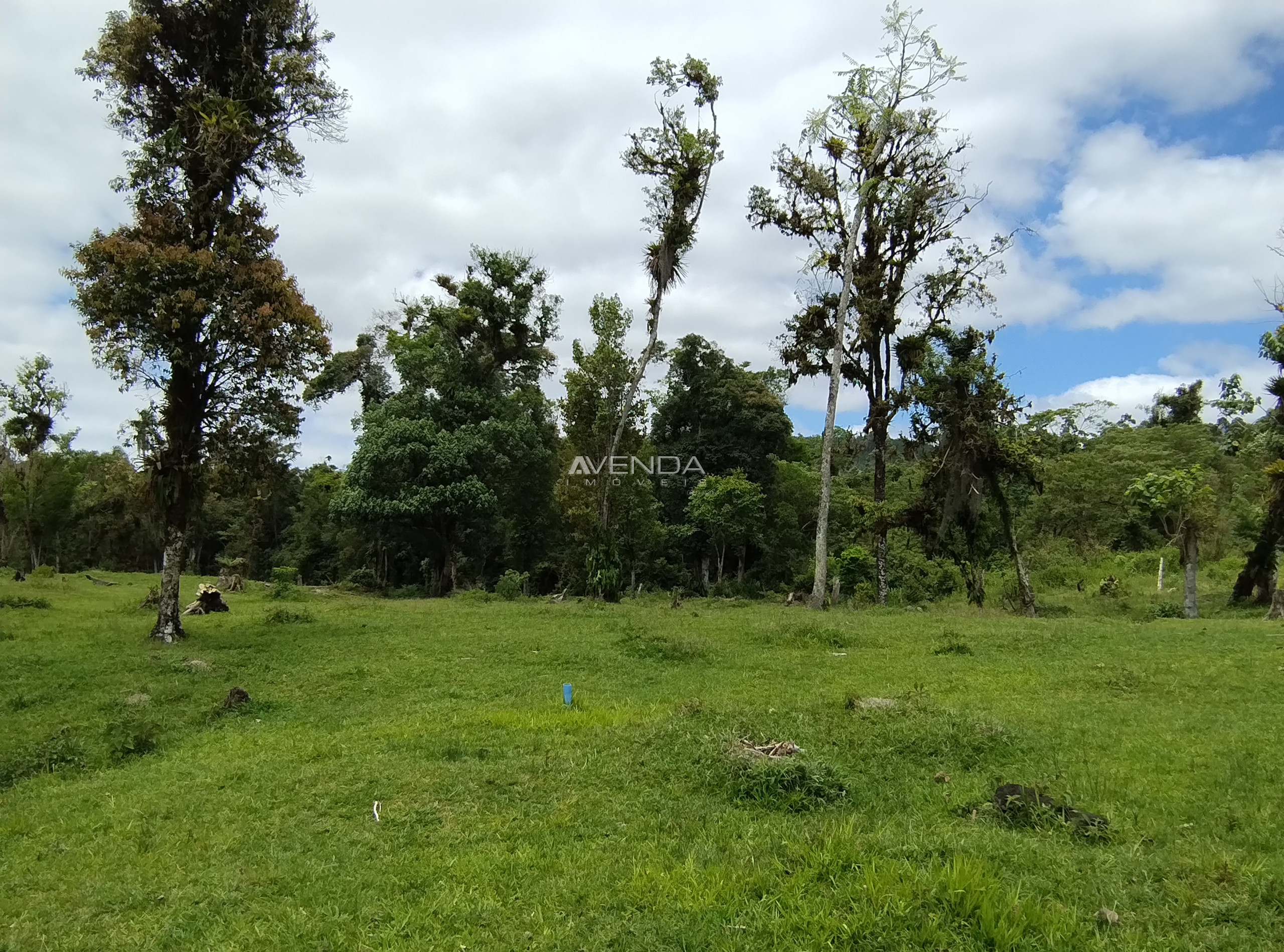 Fazenda à venda com 6 quartos, 208036m² - Foto 3