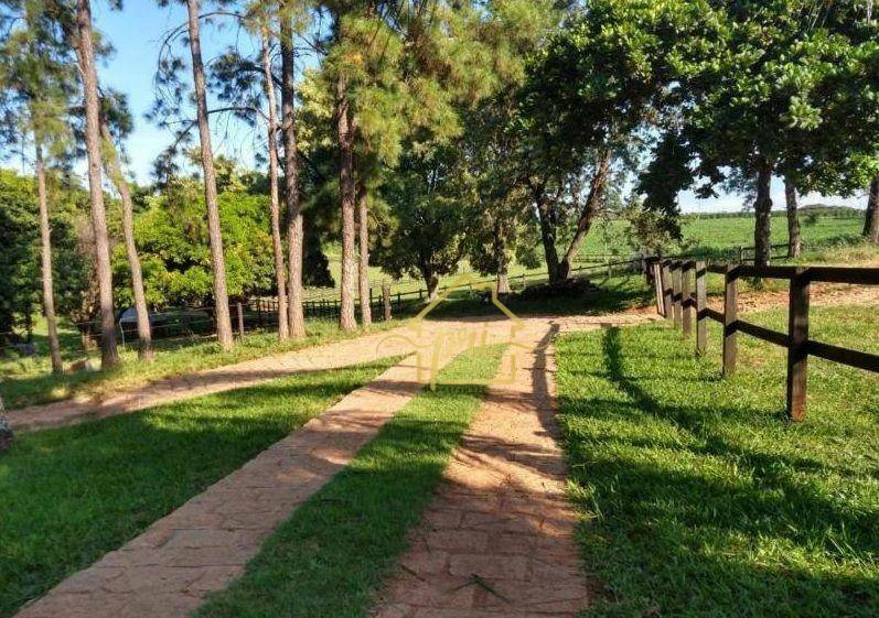 Fazenda à venda com 3 quartos, 1000m² - Foto 1