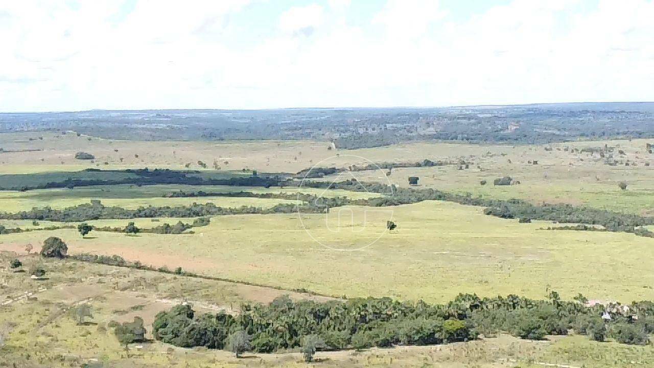 Fazenda à venda, 9970000M2 - Foto 28