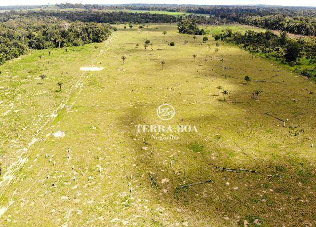 Fazenda à venda, 1790800M2 - Foto 3