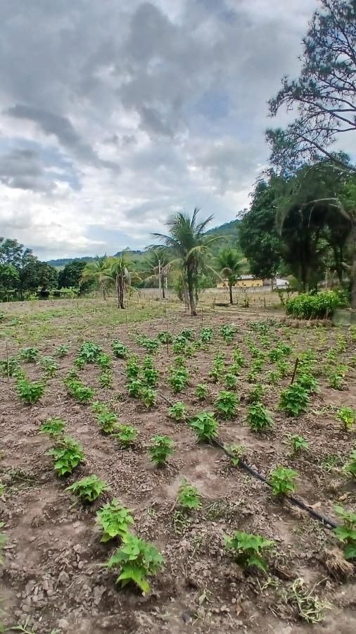 Fazenda à venda com 2 quartos, 31000m² - Foto 14