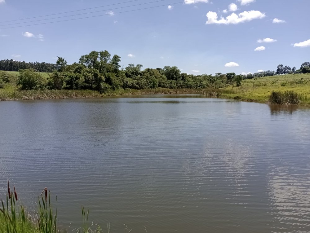 Fazenda-Sítio-Chácara, 25 hectares - Foto 7
