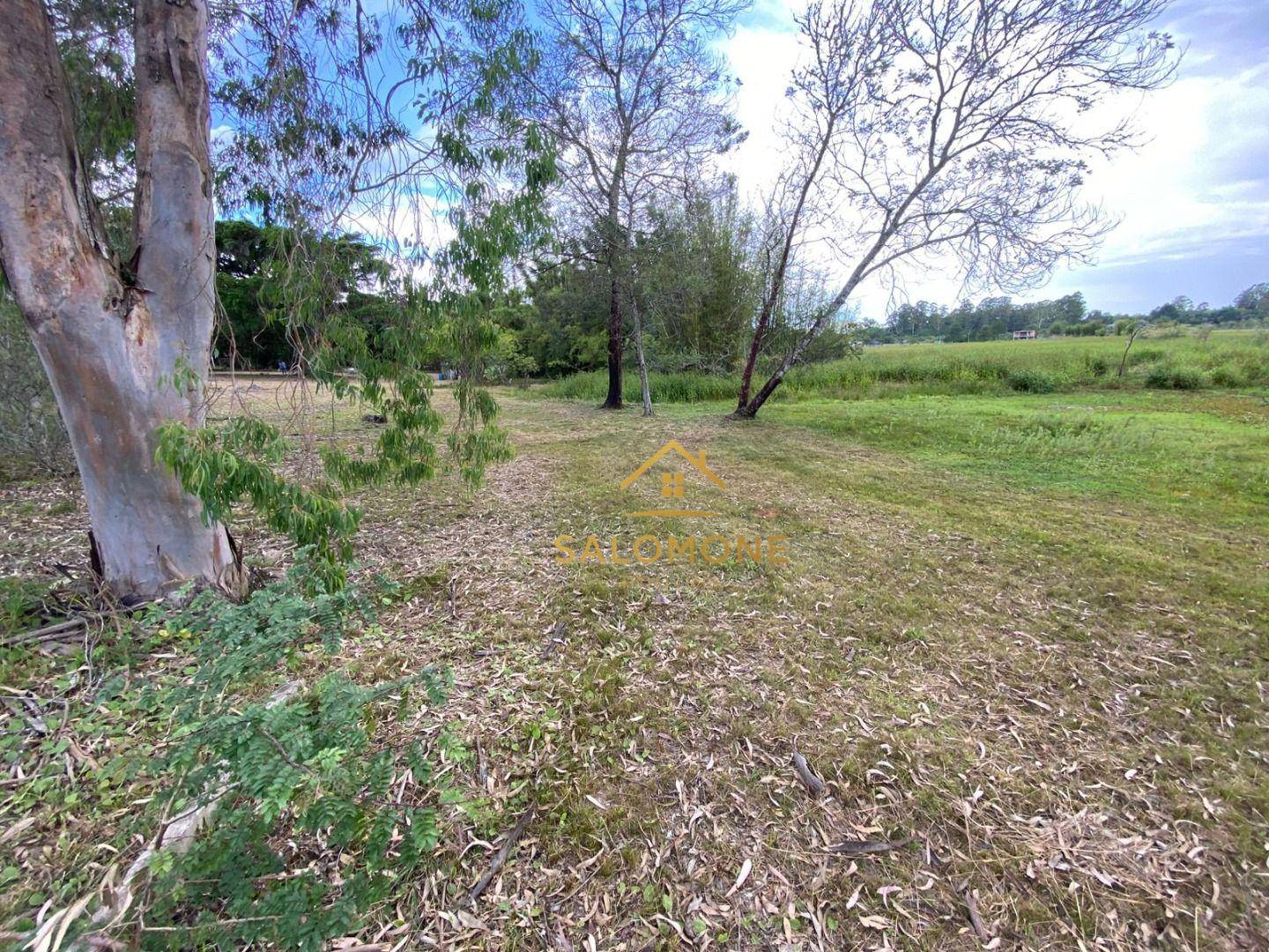 Loteamento e Condomínio, 5300 m² - Foto 7