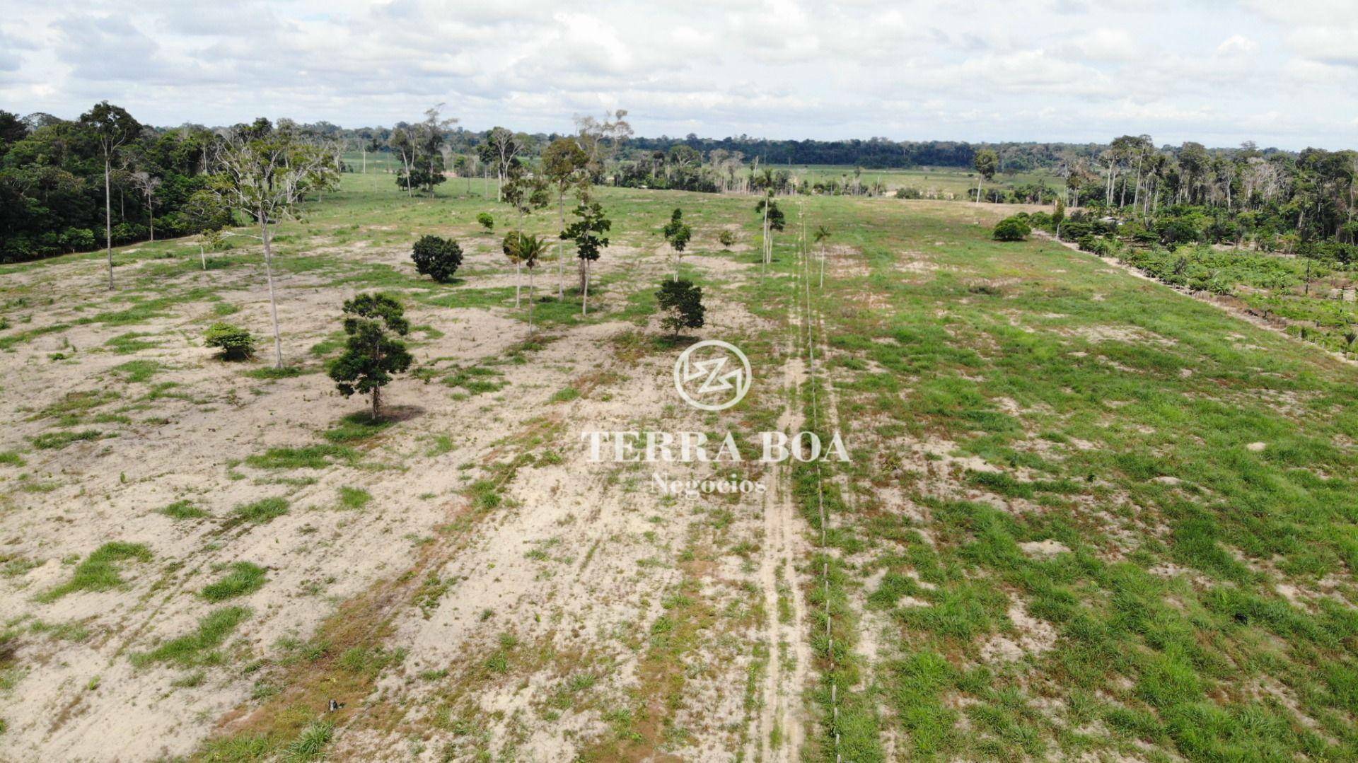 Fazenda-Sítio-Chácara, 284 hectares - Foto 4