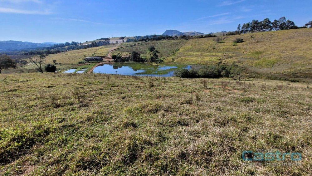 Fazenda à venda com 5 quartos, 82m² - Foto 6