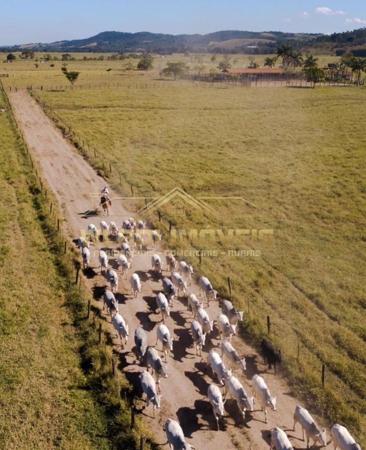 Fazenda à venda, 1086m² - Foto 22