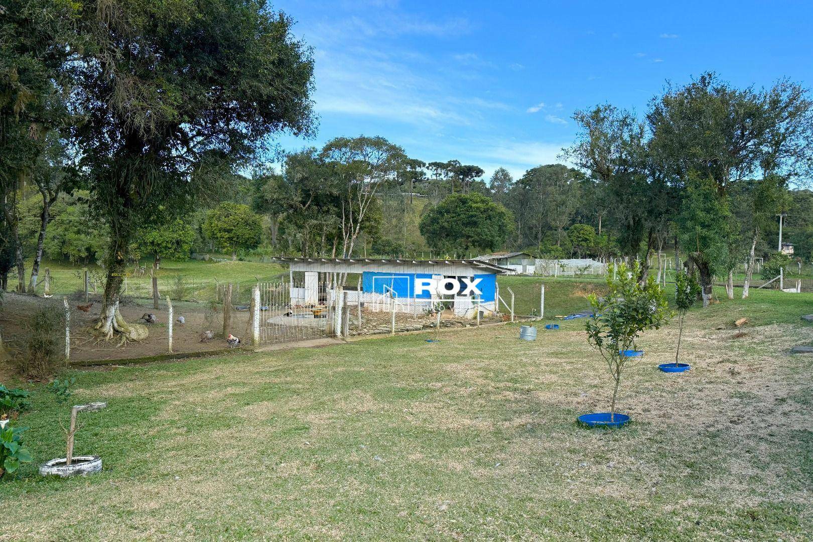 Chácara à venda com 6 quartos, 350m² - Foto 6