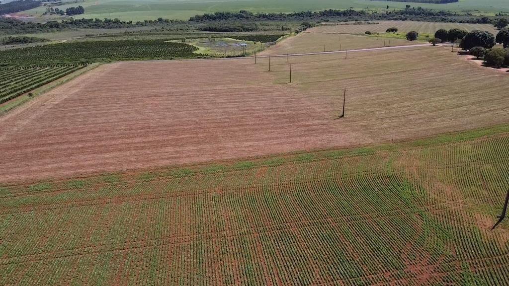 Fazenda à venda com 2 quartos, 1210000m² - Foto 1