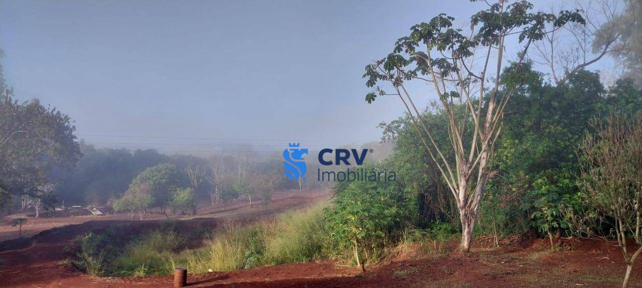 Sítio, 3 hectares - Foto 15