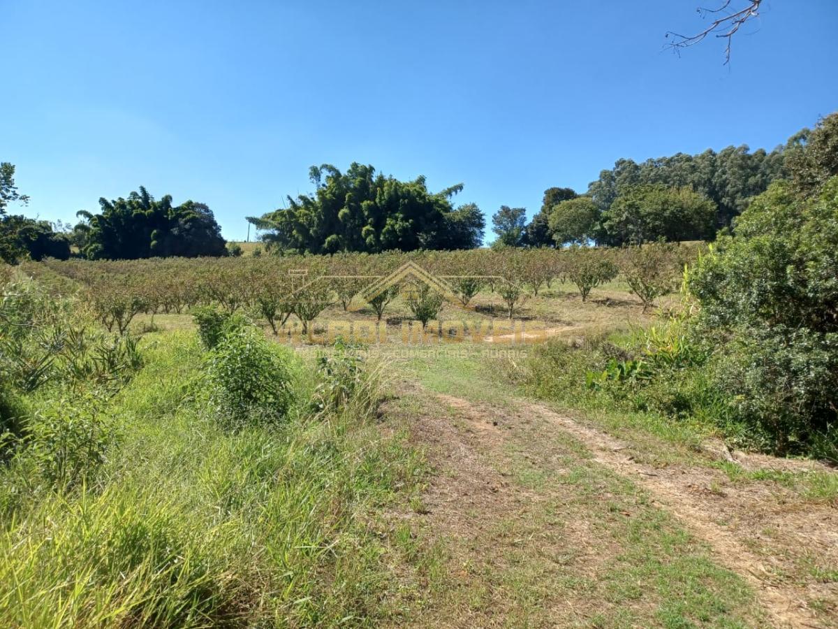 Fazenda à venda, 145200m² - Foto 8