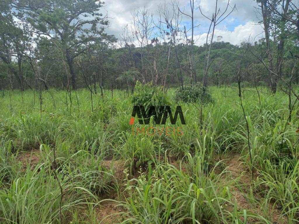 Fazenda à venda, 48400000M2 - Foto 24