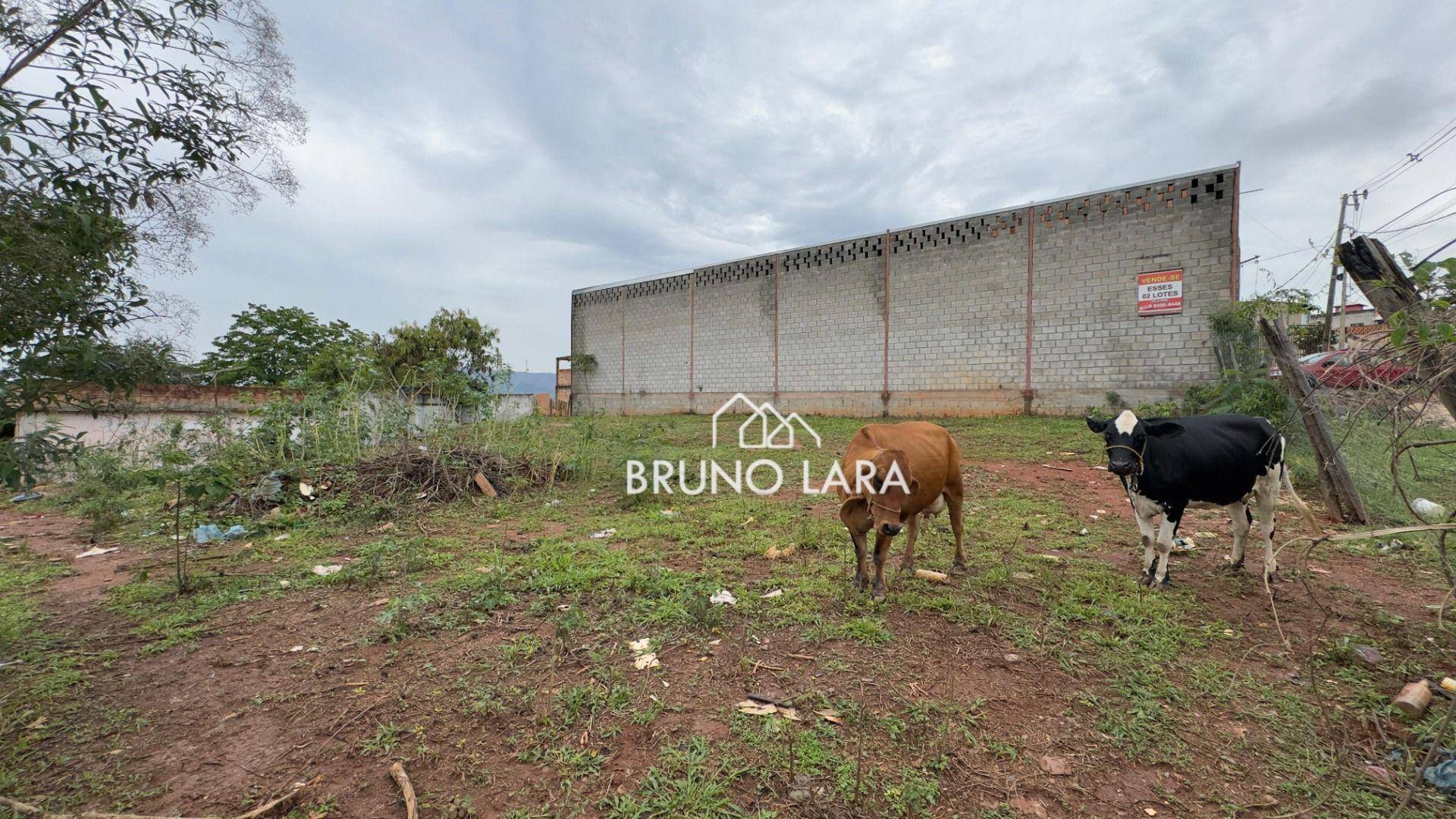 Terreno, 330 m² - Foto 5